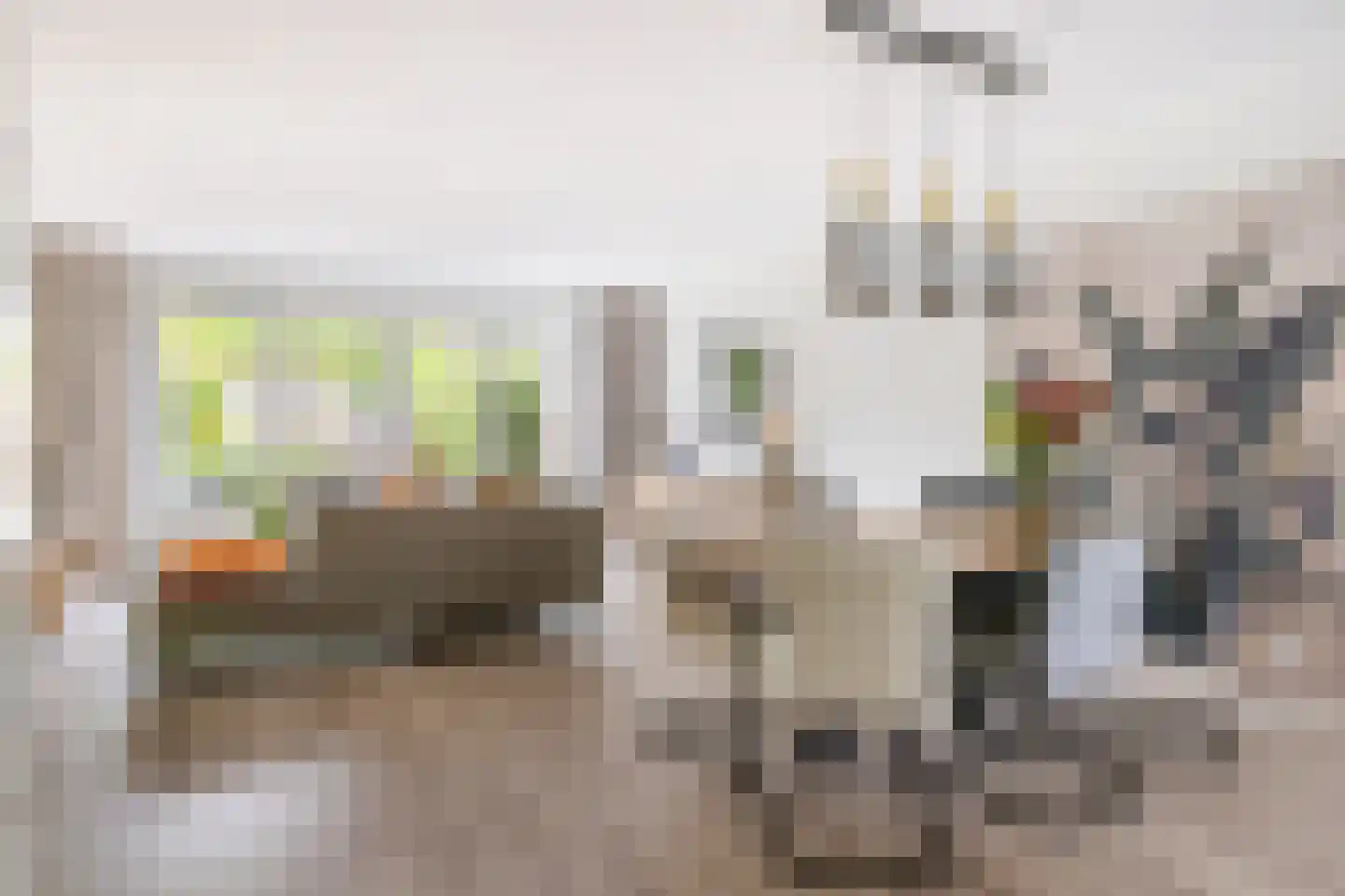 Polarisstraat 43 Dongen thumbnail 13