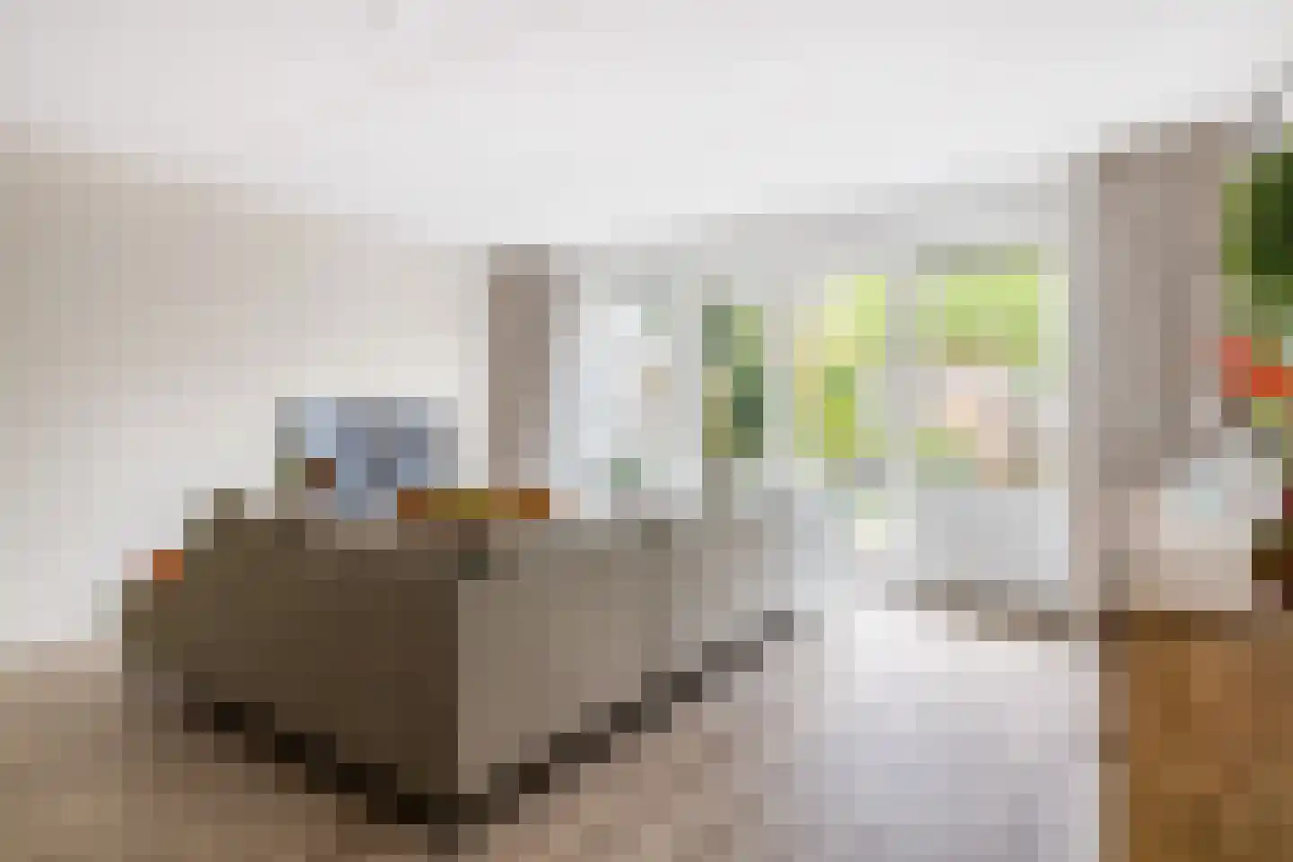 Polarisstraat 43 Dongen thumbnail 15