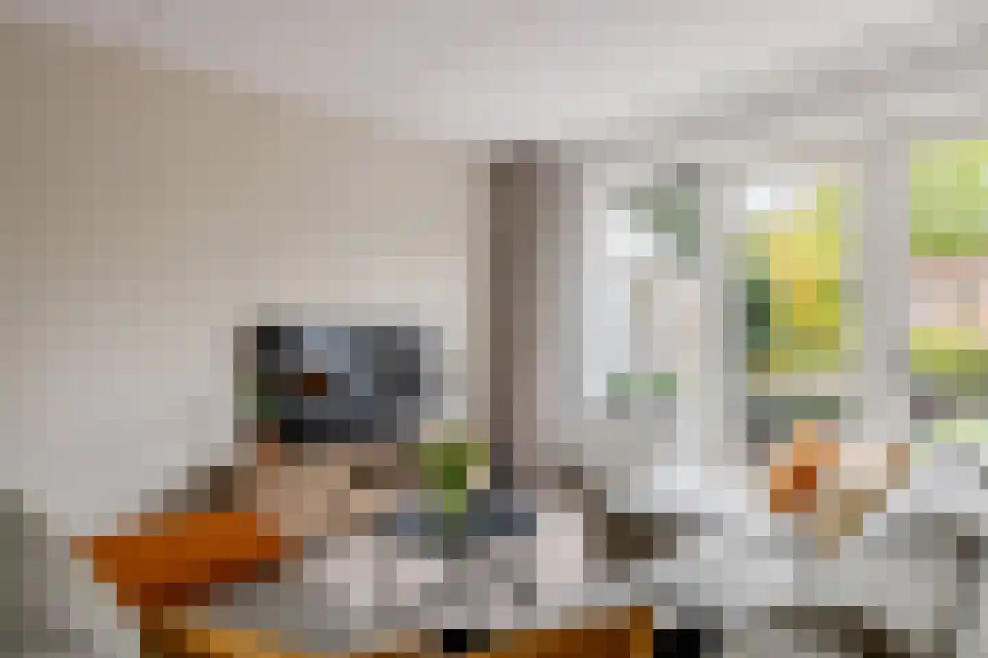 Polarisstraat 43 Dongen thumbnail 16