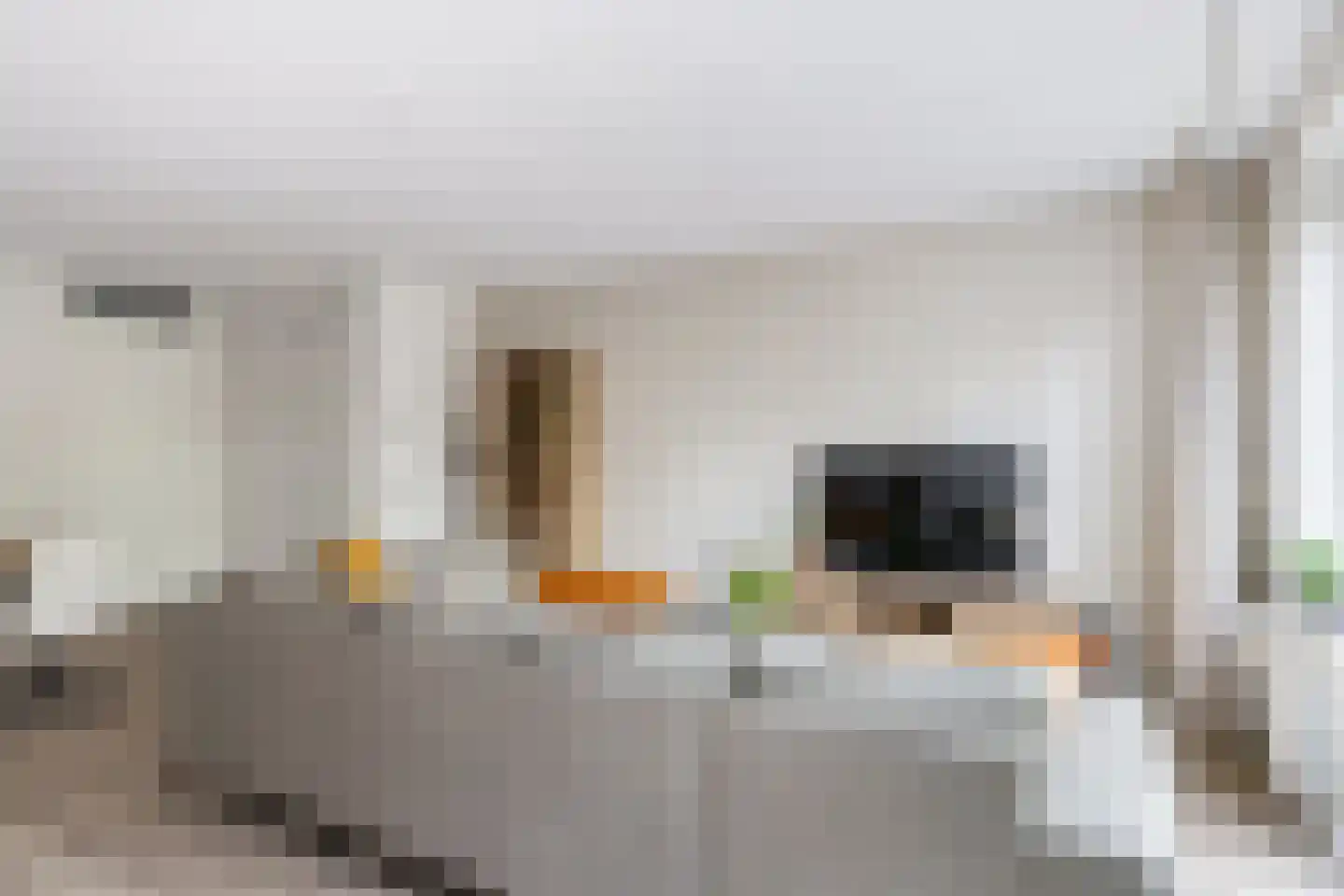 Polarisstraat 43 Dongen thumbnail 17