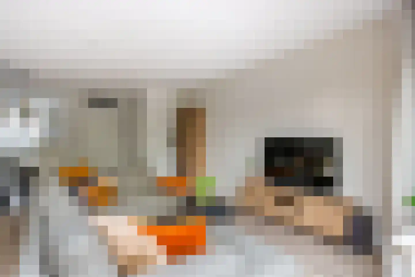 Polarisstraat 43 Dongen thumbnail 18