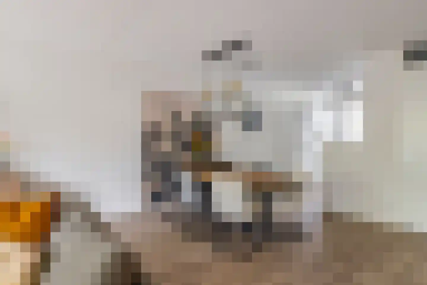 Polarisstraat 43 Dongen thumbnail 20
