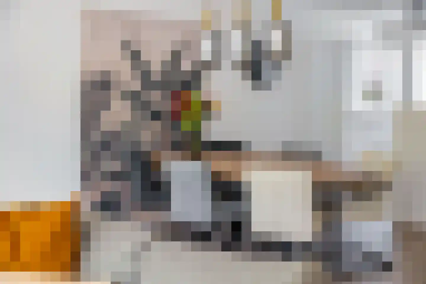 Polarisstraat 43 Dongen thumbnail 24