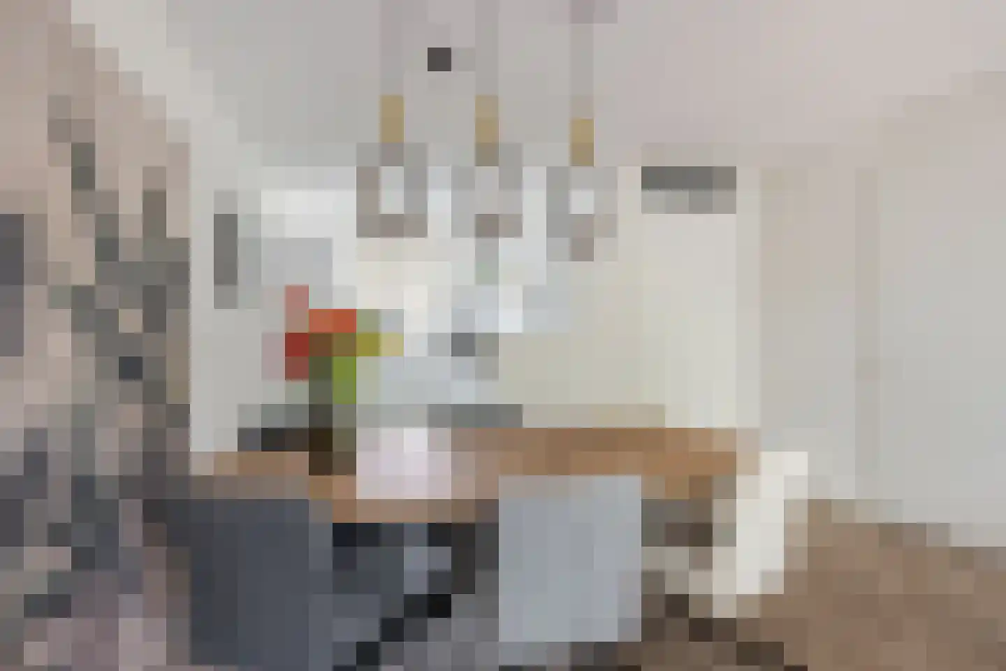 Polarisstraat 43 Dongen thumbnail 27