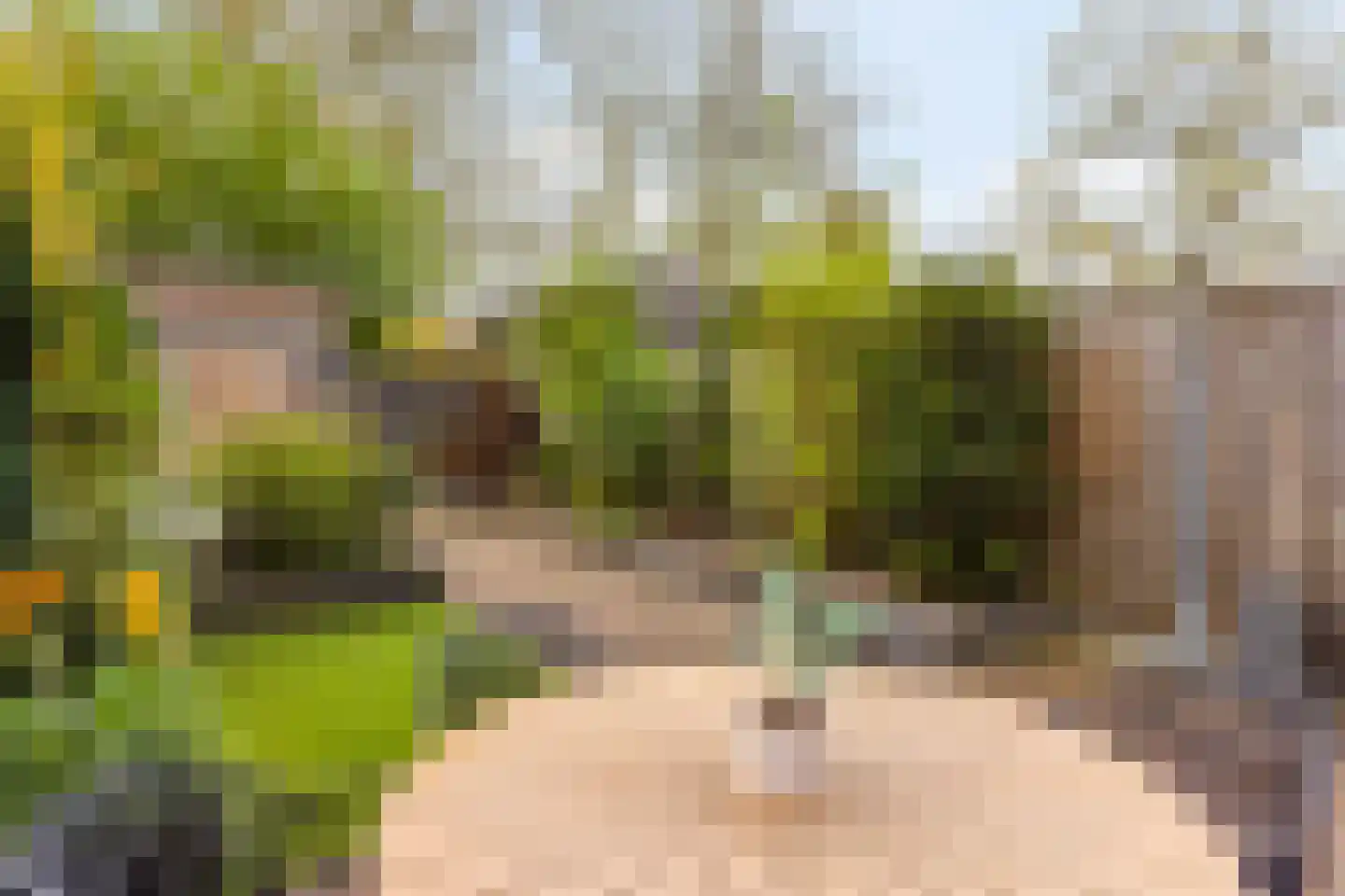 Polarisstraat 43 Dongen thumbnail 52