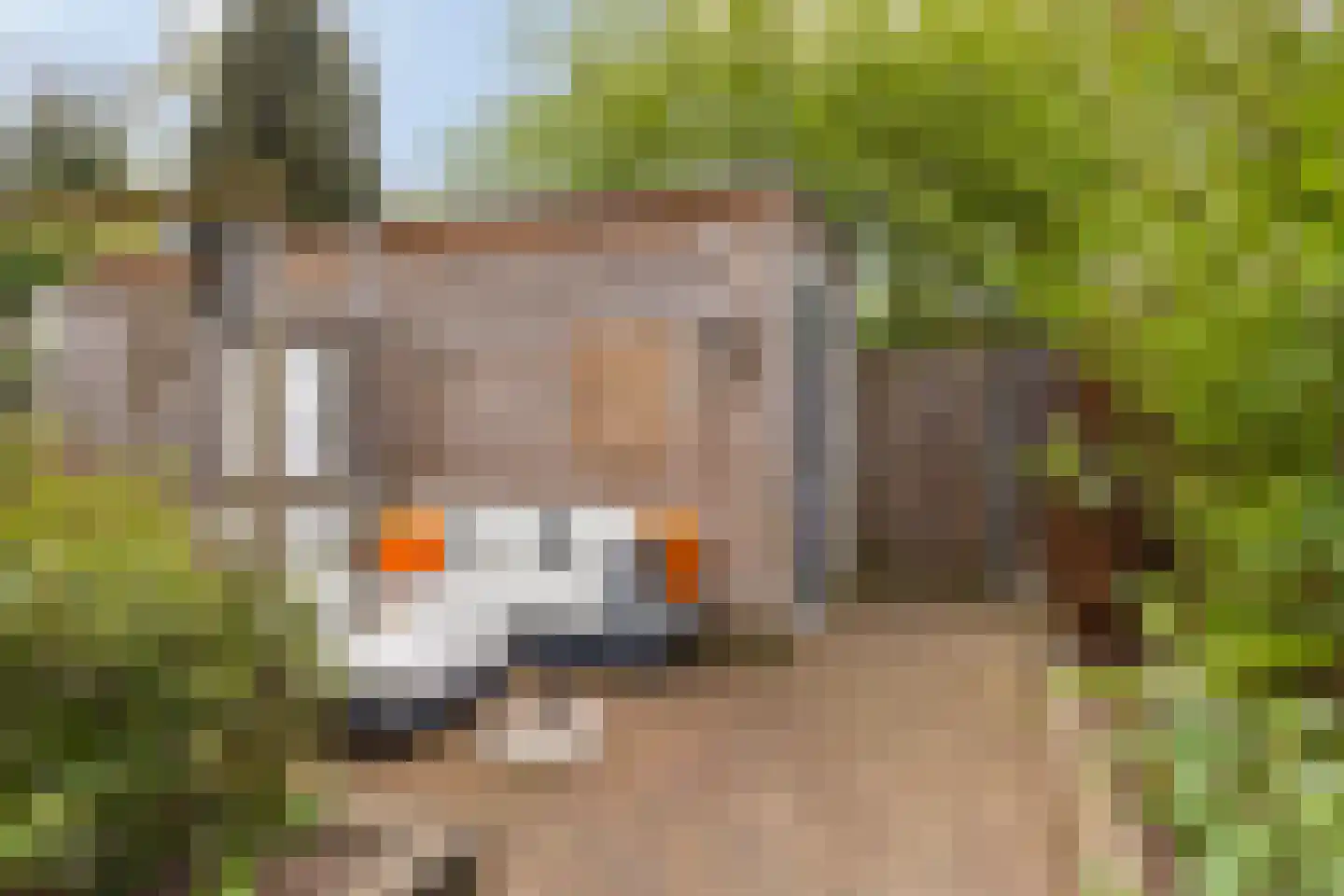 Polarisstraat 43 Dongen thumbnail 54