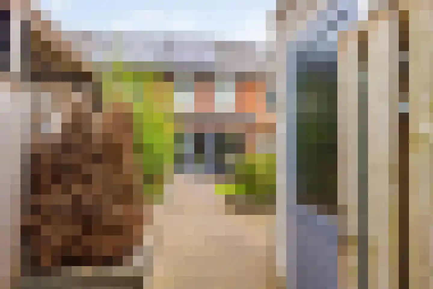 Polarisstraat 43 Dongen thumbnail 57