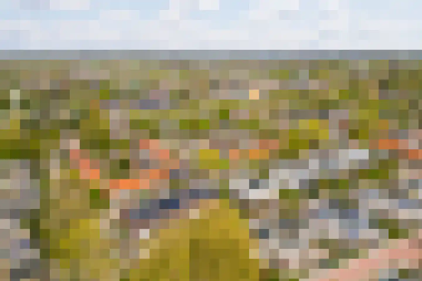 Polarisstraat 43 Dongen thumbnail 62
