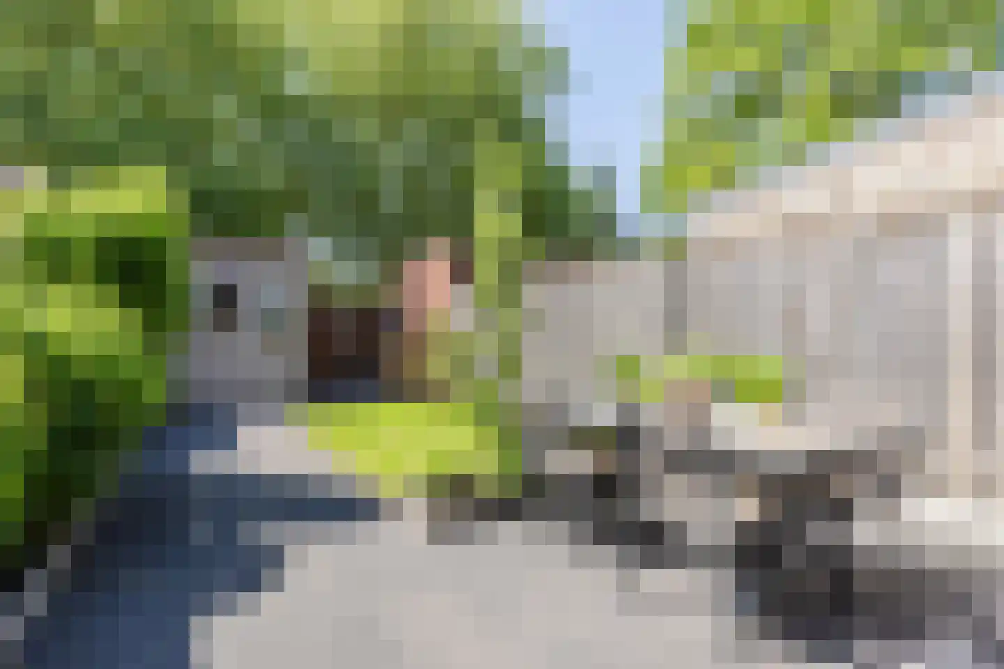 Polarisstraat 47 Dongen thumbnail 16