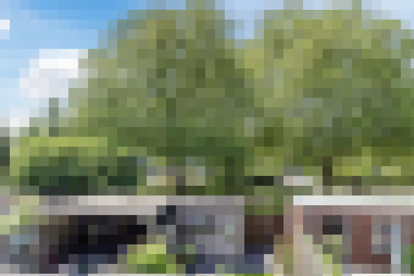 Polarisstraat 47 Dongen thumbnail 18