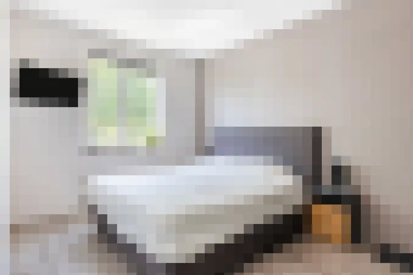 Polarisstraat 47 Dongen thumbnail 22