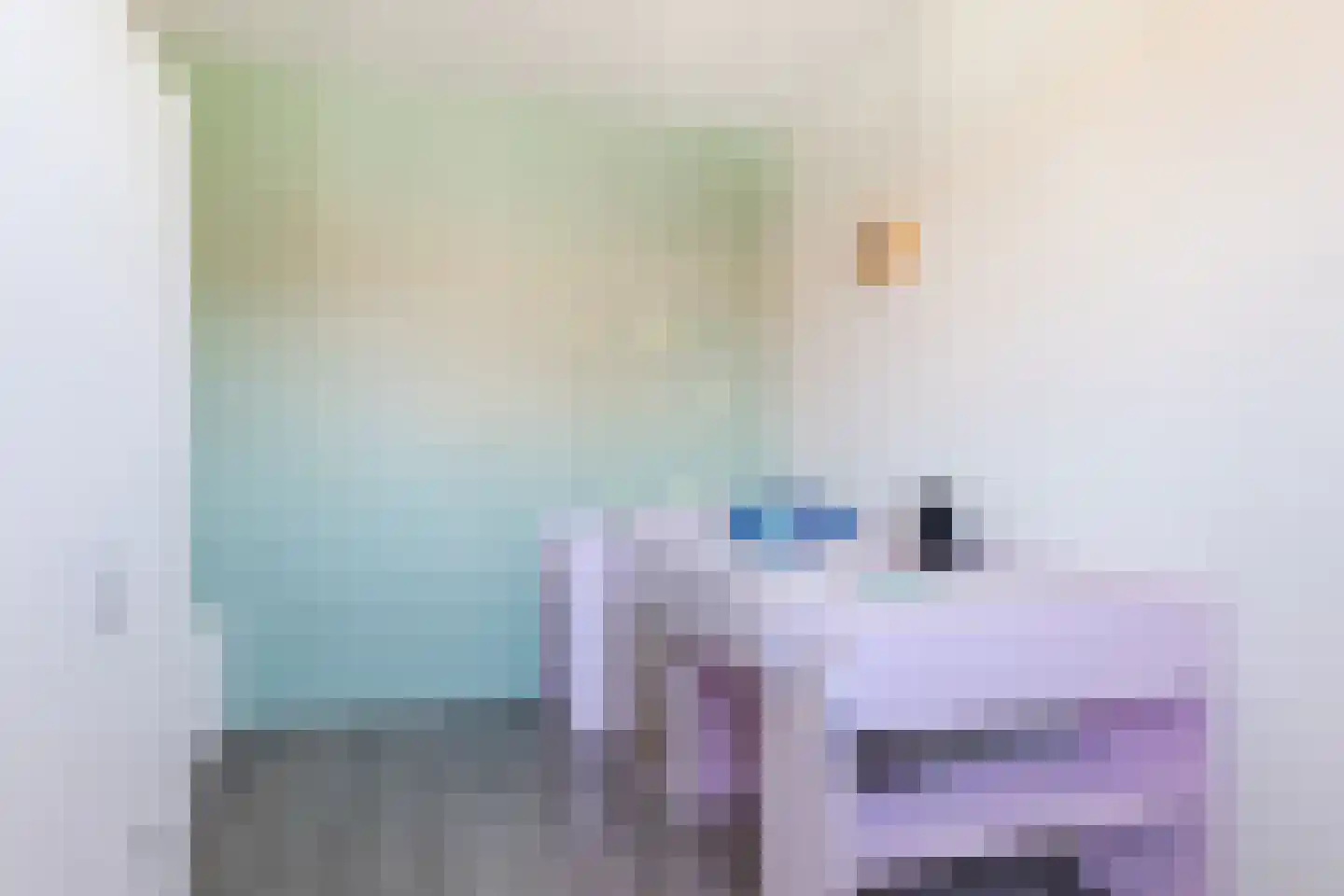 Polarisstraat 47 Dongen thumbnail 25