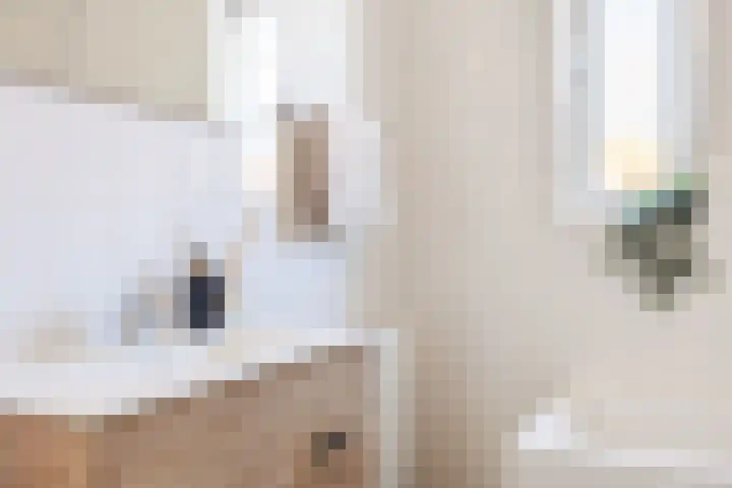Polarisstraat 47 Dongen thumbnail 27