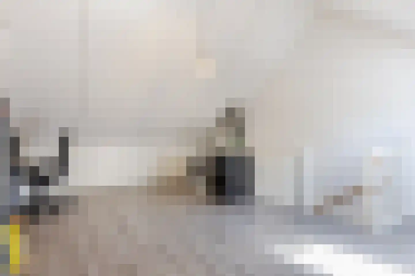 Polarisstraat 47 Dongen thumbnail 29