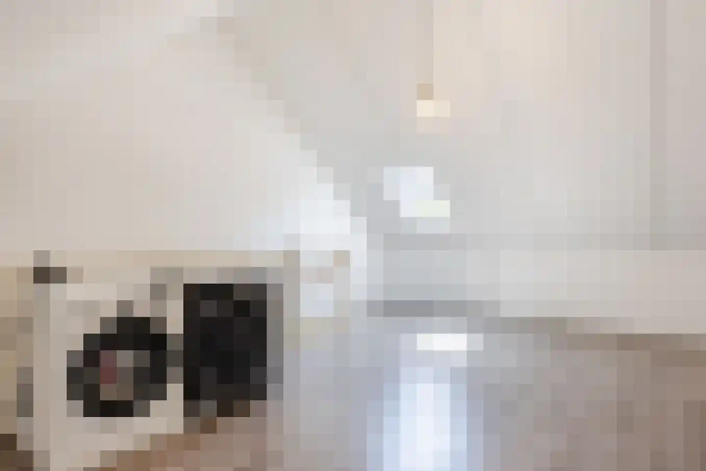 Polarisstraat 47 Dongen thumbnail 30