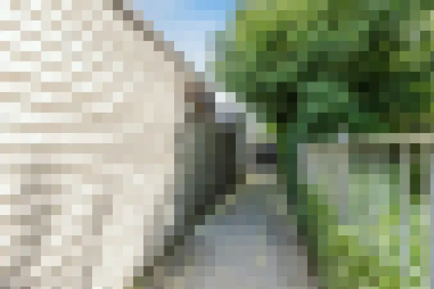 Polarisstraat 47 Dongen thumbnail 31
