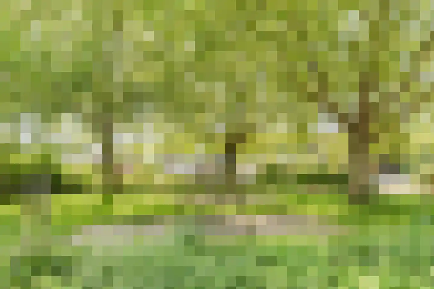 Polarisstraat 47 Dongen thumbnail 32