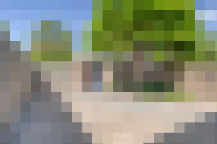 Polarisstraat 50 Dongen thumbnail 23
