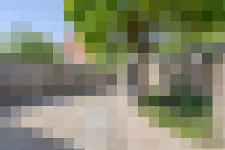 Polarisstraat 50 Dongen thumbnail 24