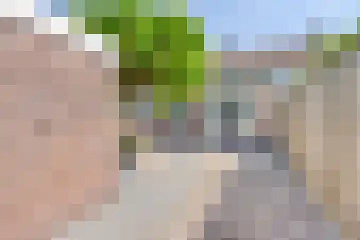 Polarisstraat 50 Dongen thumbnail 25