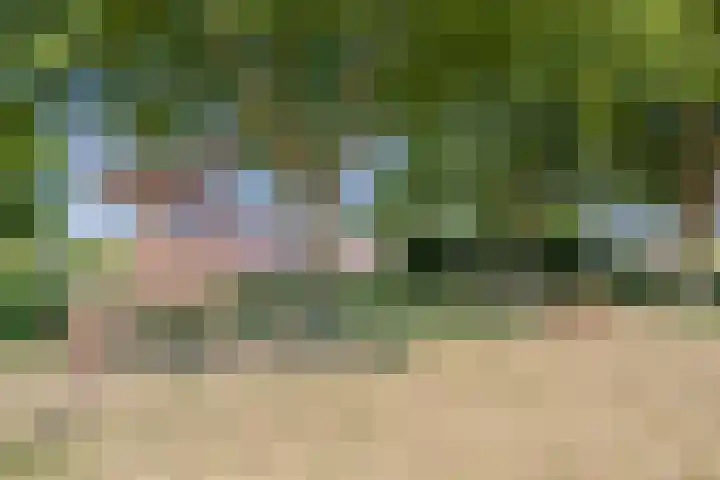 Polarisstraat 50 Dongen thumbnail 27