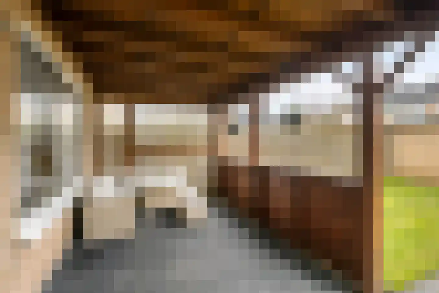 Polarisstraat 77 Emmeloord thumbnail 30
