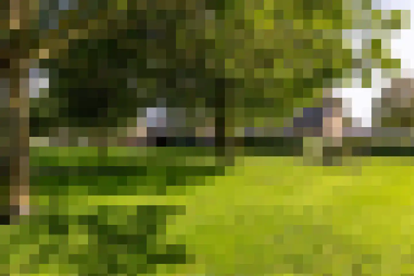 Polarisstraat 9 Rockanje thumbnail 23