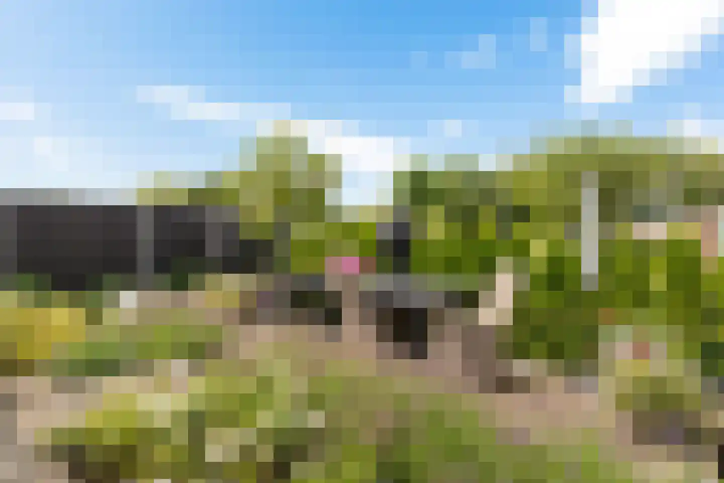 Polarisweg 6 Delfzijl thumbnail 11