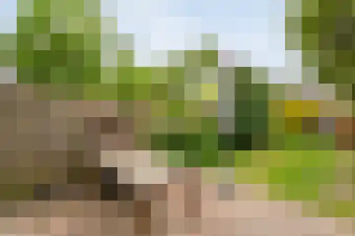 Polbeek 14 Zwolle thumbnail 28