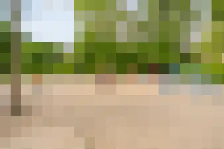 Polbeek 14 Zwolle thumbnail 31