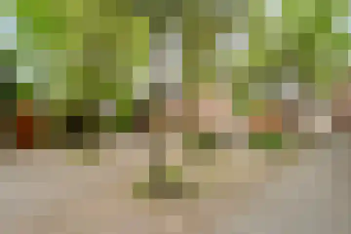 Polbeek 14 Zwolle thumbnail 32