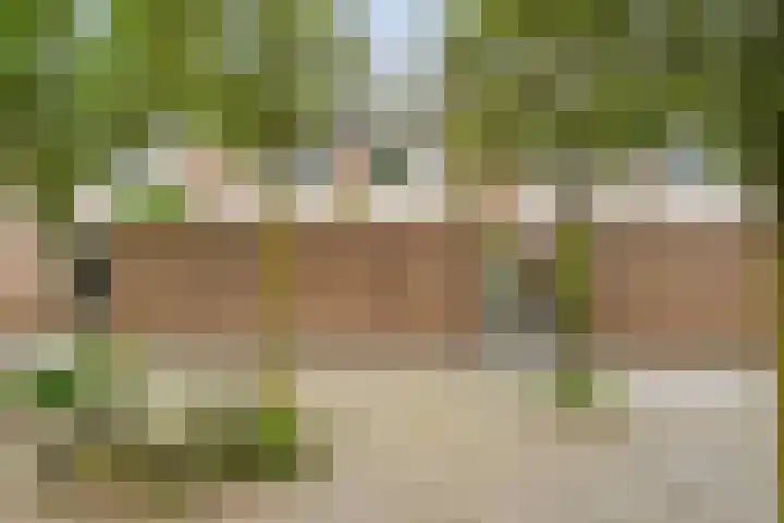 Polbeek 14 Zwolle thumbnail 33