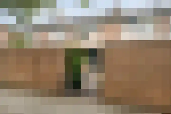 Polbeek 14 Zwolle thumbnail 34