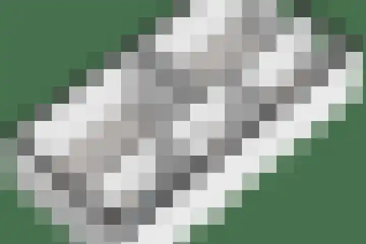 Polbeek 14 Zwolle thumbnail 39