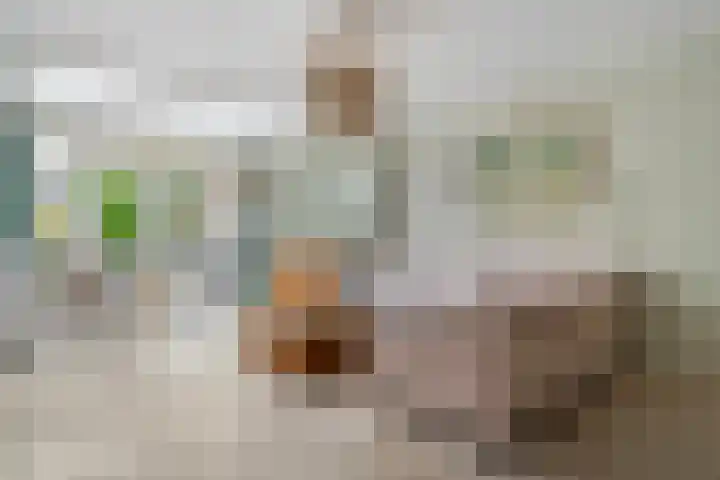Polbeek 14 Zwolle thumbnail 4