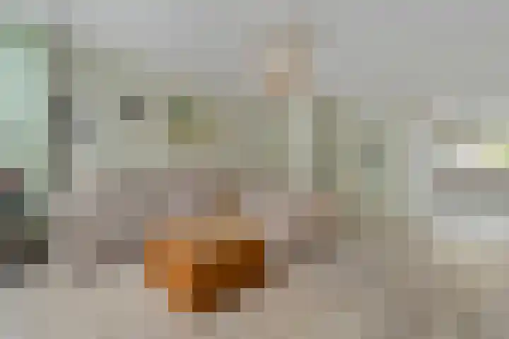 Polbeek 14 Zwolle thumbnail 5