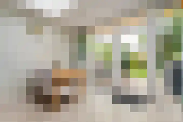 Polbeek 14 Zwolle thumbnail 8