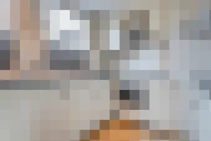 Polberg 15 Hardenberg thumbnail 17