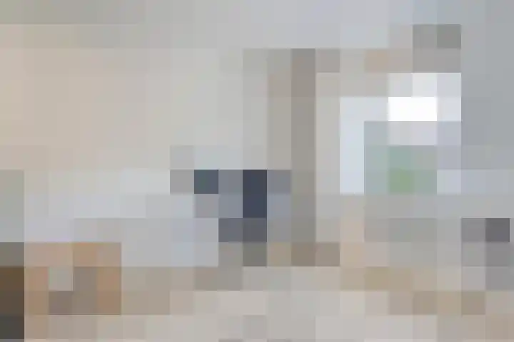 Polberg 15 Hardenberg thumbnail 24