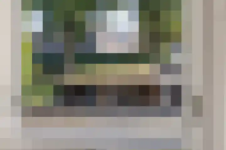 Polberg 15 Hardenberg thumbnail 28