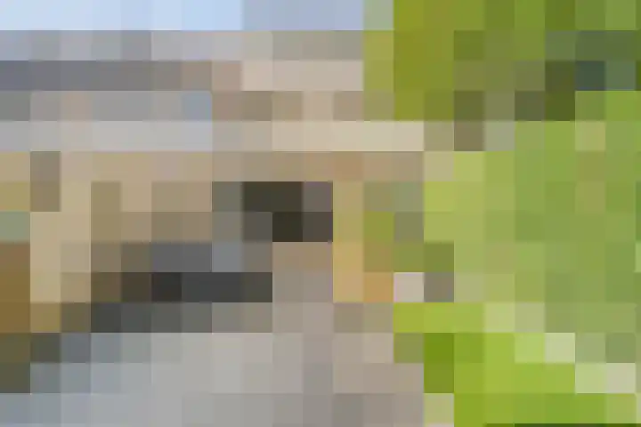 Polberg 15 Hardenberg thumbnail 36