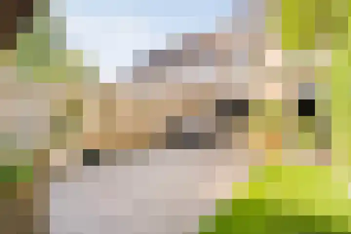 Polberg 15 Hardenberg thumbnail 37