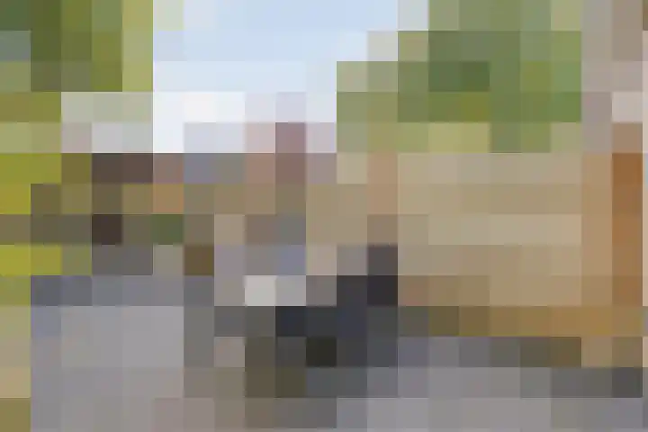 Polberg 15 Hardenberg thumbnail 38