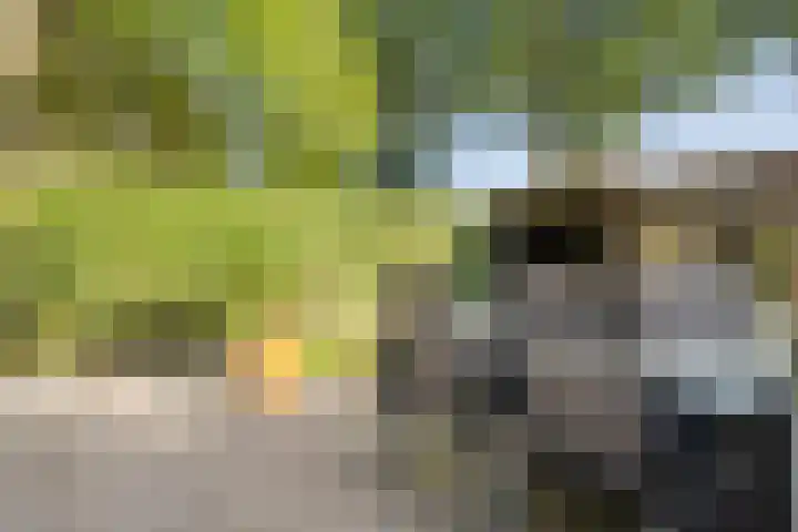 Polberg 15 Hardenberg thumbnail 39