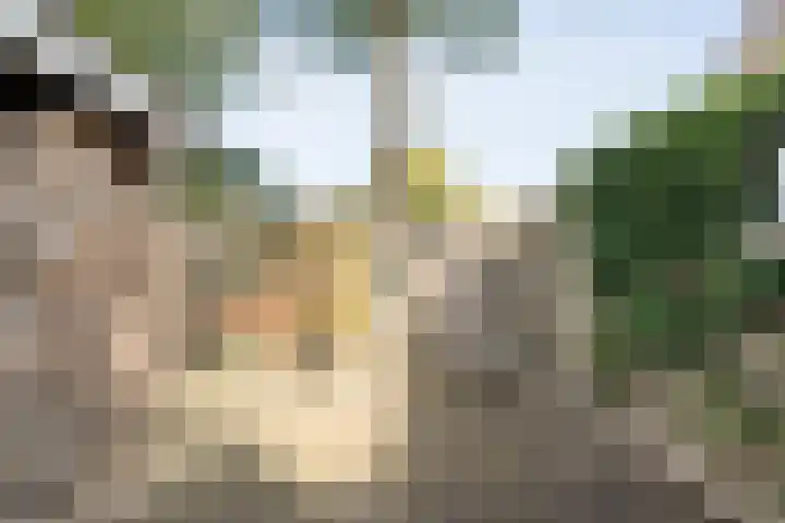 Polberg 15 Hardenberg thumbnail 44