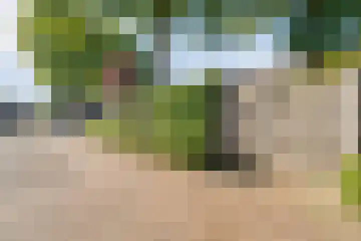 Polberg 15 Hardenberg thumbnail 45