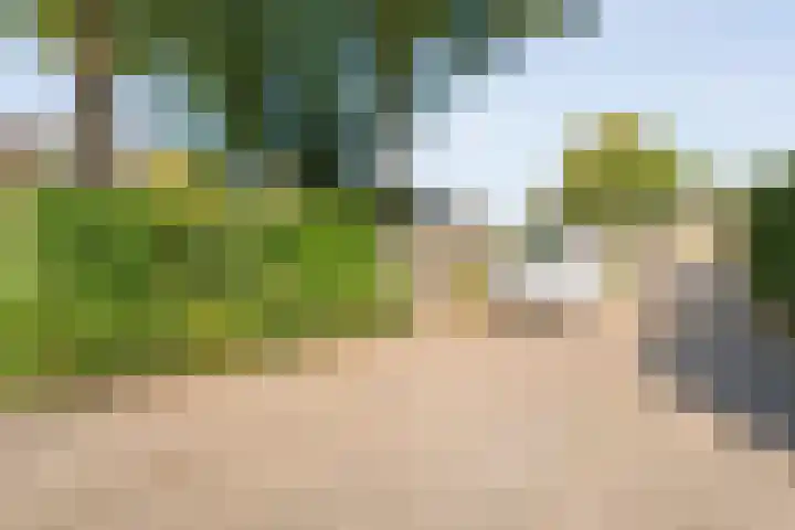 Polberg 15 Hardenberg thumbnail 46