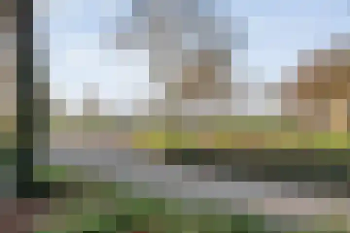 Polberg 37 Hardenberg thumbnail 54