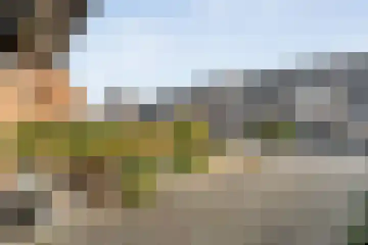 Polberg 37 Hardenberg thumbnail 9