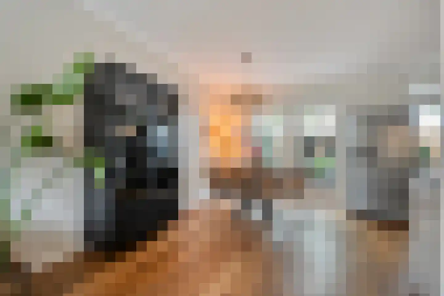 Polberg 38 Hardenberg thumbnail 19